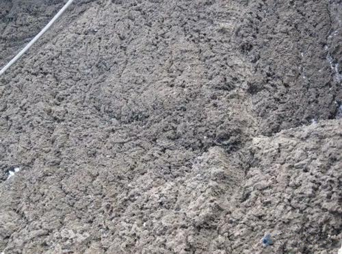 污泥壓濾機使用場景.jpg 污泥壓濾機使用場景.jpg